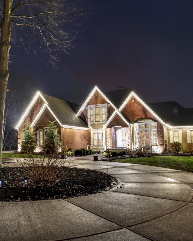 {SERVICE_NAME} project in The Colony