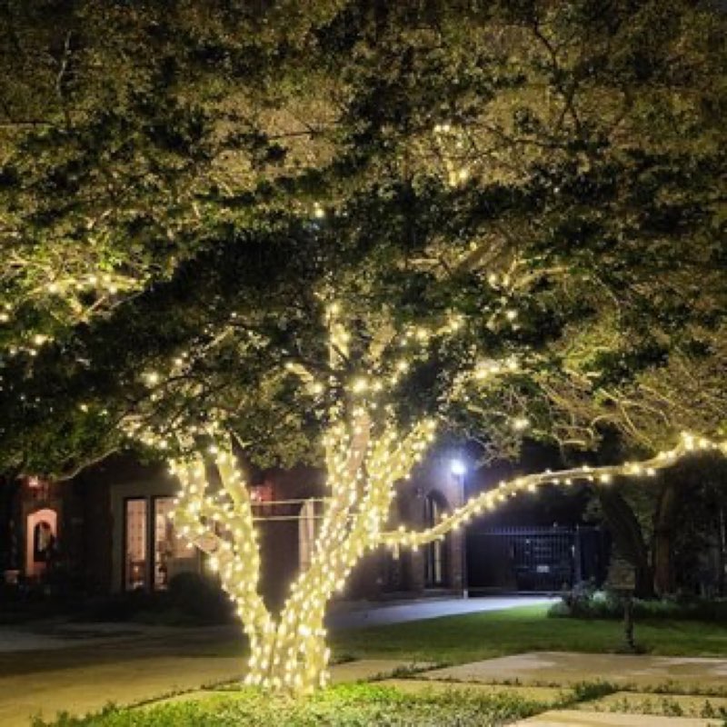 {SERVICE_NAME} project in The Colony