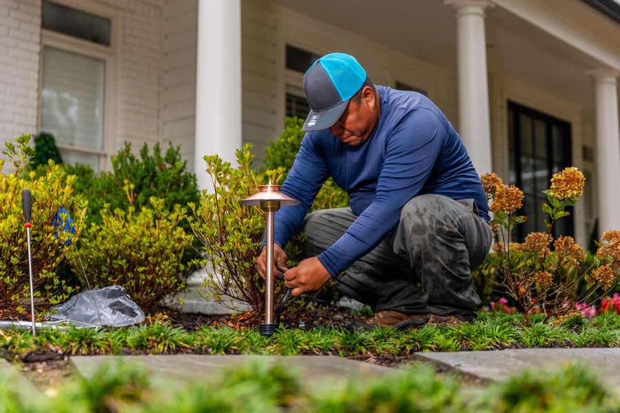 {SERVICE_NAME} project in The Colony