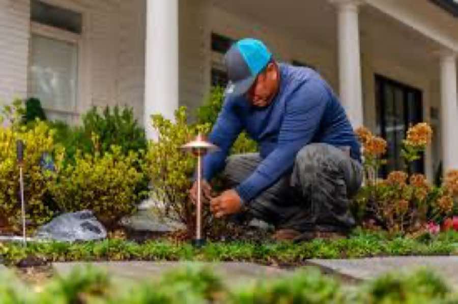 {SERVICE_NAME} project in The Colony