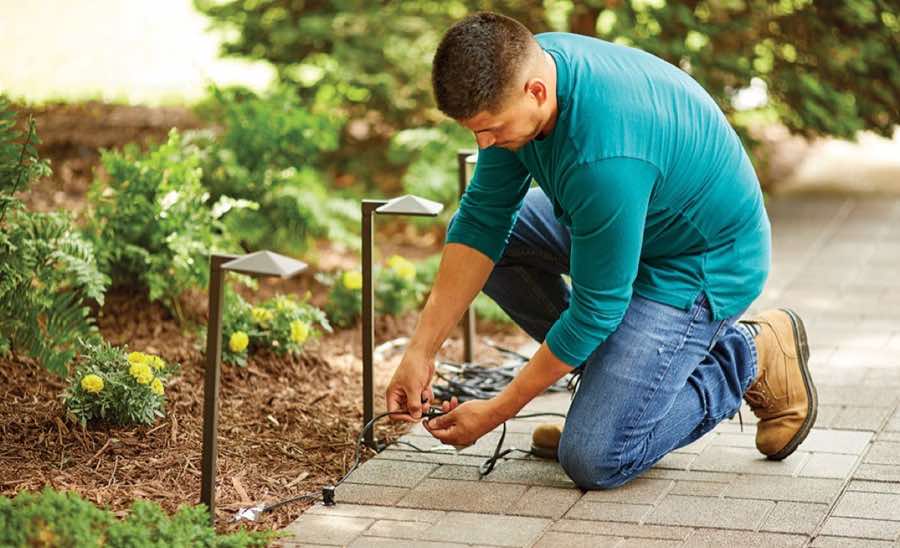 Tree Uplighting in The Colony