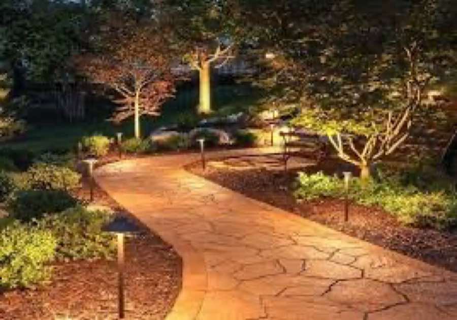 Pathway Illumination in The Colony