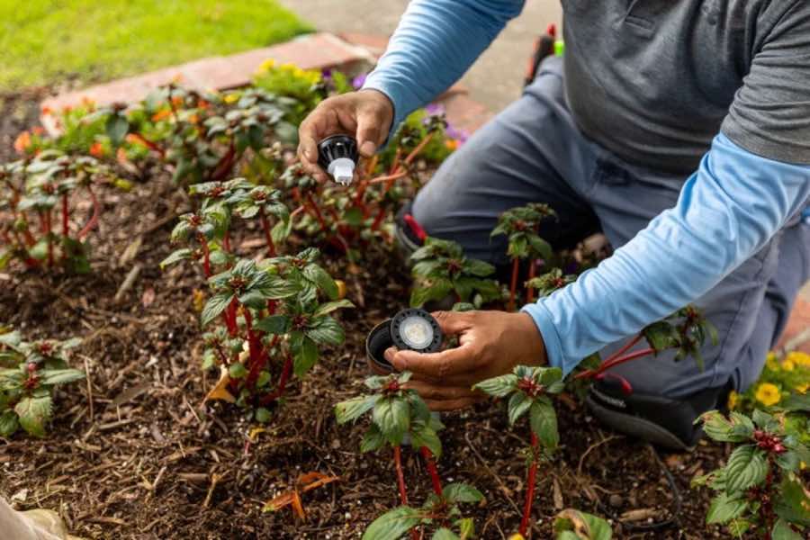 {SERVICE_NAME} project in The Colony