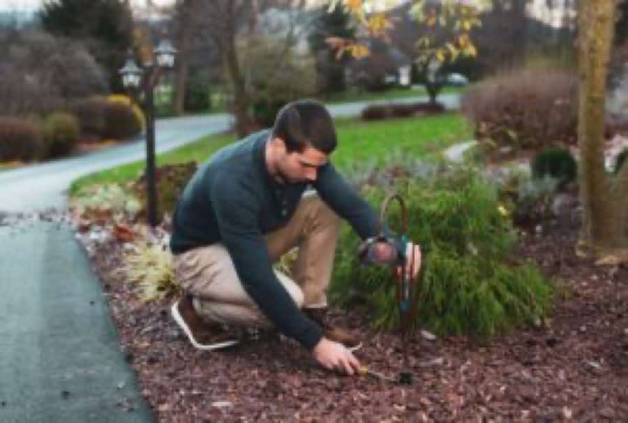 {SERVICE_NAME} project in The Colony